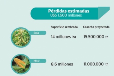 Estiman una caída del 30% en la producción y pérdidas por US$ 1.600