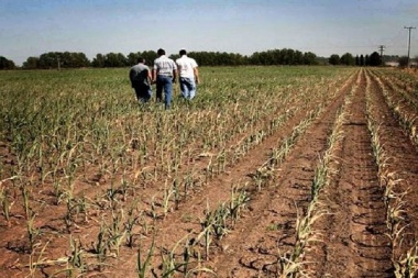 La sequía que atraviesa a Junín es la peor de la historia