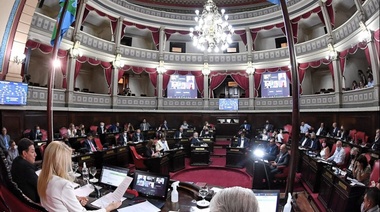 Senadores de la cuarta presidirán 3 comisiones y en 4 ocuparán la vice