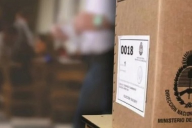 Escrutinio definitivo: votó solo el 27 % de los extranjeros y Kicillof le ganó a Vidal