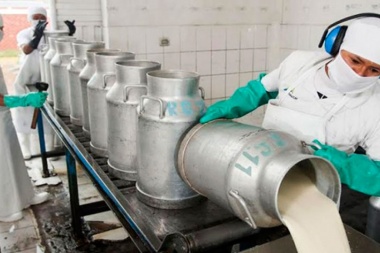 El consumo de leche, carne vacuna y yerba mate tuvieron picos negativos históricos en Argentina