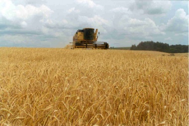 Federación Agraria Lincoln consideró "una locura" que vuelvan las retenciones