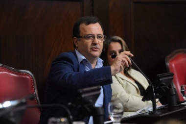 Con las negociaciones empantanadas, proponen que las PASO sean optativas