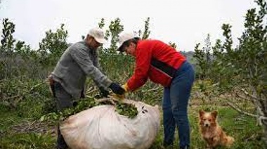 RENATRE otorga prestaciones extraordinarias para trabajadores rurales afectados por incendios y sequía en Corrientes y Misiones