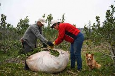 RENATRE otorga prestaciones extraordinarias para trabajadores rurales afectados por incendios y sequía en Corrientes y Misiones