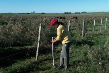 RENATRE anunció aumentos de la prestación por desempleo para trabajadores rurales