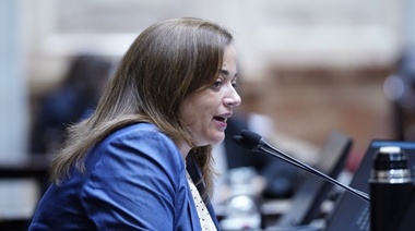 Cecilia Moreau: "Es llamativo que la oposición no quiera debatir temas urgentes como moratoria previsional, monotech y Universidades”