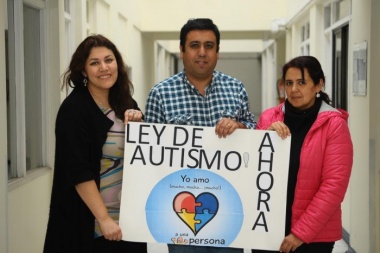 Desde el Congreso nacional piden la reglamentación de la Ley de Autismo