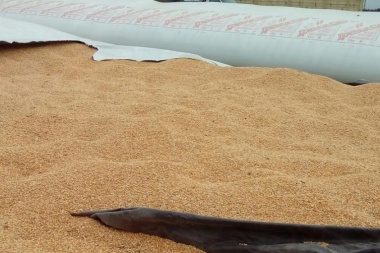 Para Beligoi, “las roturas de los silo bolsas son actos vandálicos que no aportan nada”
