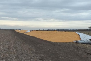 Sigue la ola de rotura de silo bolsas: esta vez fue en Chacabuco