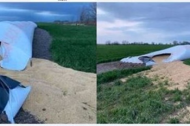 Denuncian nueva rotura de silo bolsa y daños en un campo de Trenque Lauquen