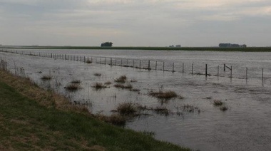 Prorrogan emergencia agropecuaria para campos inundados de Trenque Lauquen