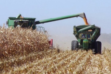 Desde la Rural de Junín coincidieron en que "faltaron herramientas" para la producción en la provincia