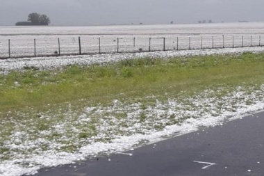 Por el temporal en Pergamino, hay preocupación en el campo por la siembra de trigo