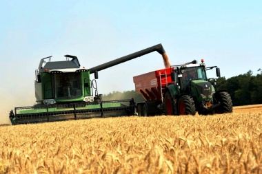 Las exportaciones de trigo tendrán el valor más alto de los últimos 9 años