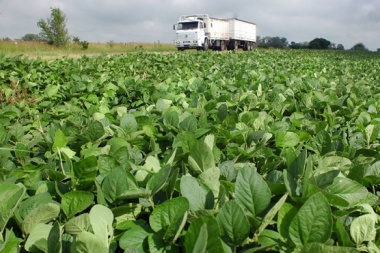 El revalúo inmobiliario le costará $ 4000 millones a productores bonaerenses