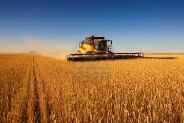 Dólar agro: advierten que brecha de 79% con el blue complica la exportación