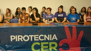 Empujan desde el Congreso un proyecto de ley que regula la pirotecnia