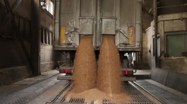 Promulgan ley que prohíbe fumigar granos y semillas durante la carga y transporte