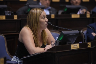 Tras la Ley de Pacto fiscal, Arata pidió más recursos para los municipios