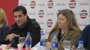 "Nos vemos en las PASO", respondieron legisladores de la UCR a Posse