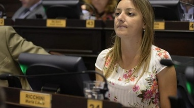 Ricchini y Alonso permanecerán en el bloque PRO