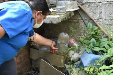 Dengue: Provincia adelantó que marzo y abril serán "los peores meses"