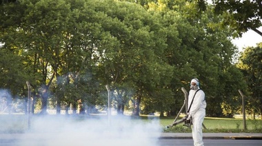 Profundizan tareas de prevención para evitar el avance del dengue
