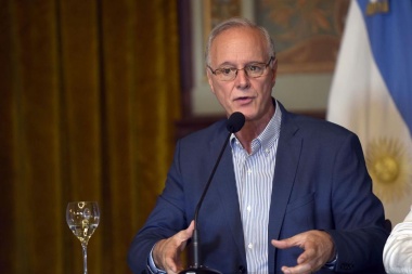 Gollán: “Nos tenemos que preocupar más por el dengue que por el coronavirus”