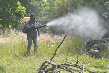 Control del dengue, tema central del Consejo Regional de Salud