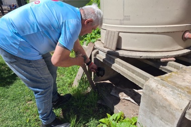 Dengue: el municipio releva ovitrampas para monitorear al Aedes Aegypti