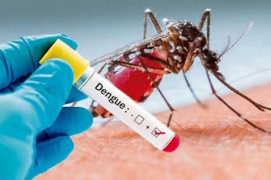 Hasta el 31 de enero no se registraron casos positivos de Dengue en Junín