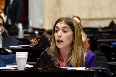 "Roma no paga traidores", lanzó Tavela a diputados radicales tras el ok al veto