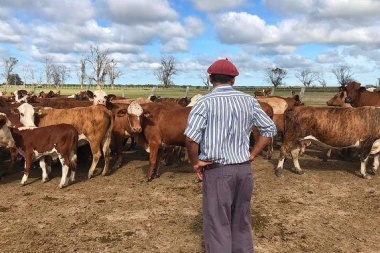 El RENATRE sube a $200.000 las prestaciones por desempleo a partir de diciembre