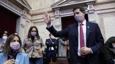 De Pedro abre en el Senado el debate sobre la postergación del calendario
