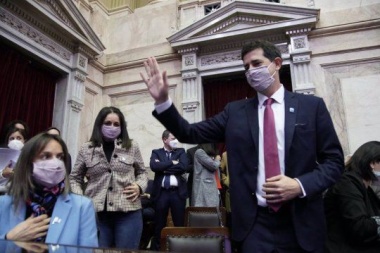De Pedro abre en el Senado el debate sobre la postergación del calendario