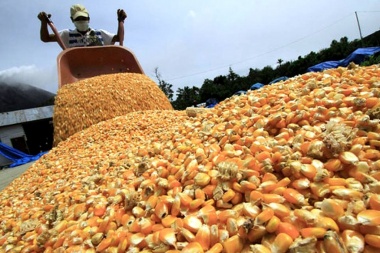 Productores bonaerenses calculan pérdidas de hasta US$ 200 millones