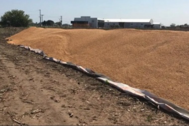 Vandalismo rural: le rompieron 8 silobolsas con maíz y analiza dejar su actividad