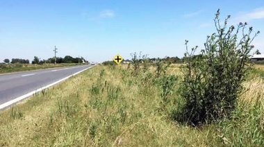 “El gobierno recauda miles de millones pero no destina ni un peso a las rutas”