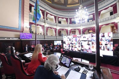Ratifican decretos y sancionan leyes de Emergencias en geriátricos y de género