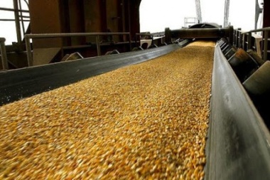 Con cifras récord, las exportaciones de maíz crecieron un 13%