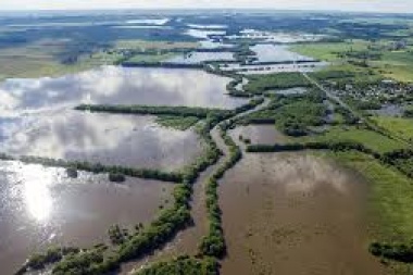 Según Carbap, peligra el 25% de la agricultura y el 26% de la ganadería
