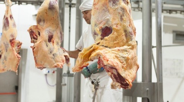 Bajan 30% el precio de la carne: asado a $1.035 y vacío a $1.351