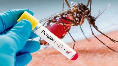 Hasta el 31 de enero no se registraron casos positivos de Dengue en Junín