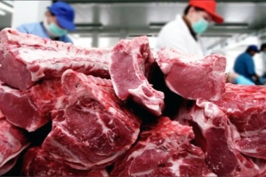 Desde CARBAP vincularon posible cierre de exportación de carne a un "mensaje partidario"