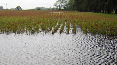 Casares y 9 de Julio entre los distritos más afectados por el agua