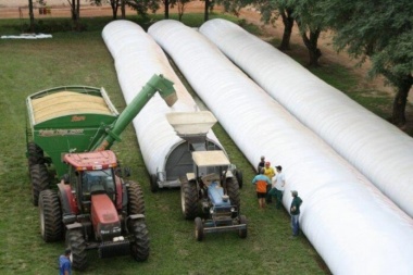 El gobierno mira los silobolsas y apunta a "especulación" del campo
