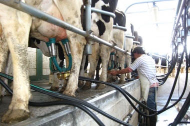 Marcan mejorías en la producción de leche al mes de marzo del 2021