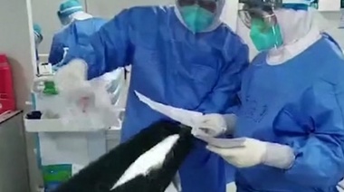 Atsa Junín alerta sobre la ocupación de camas por Covid-19