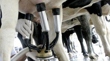 “En alerta y movilización”: Trabajadores de la leche retomarán las protestas